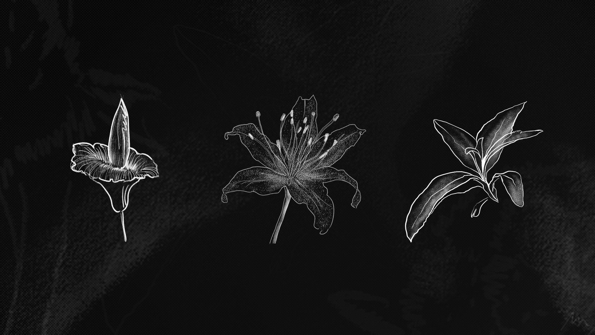 Flowers Selection M